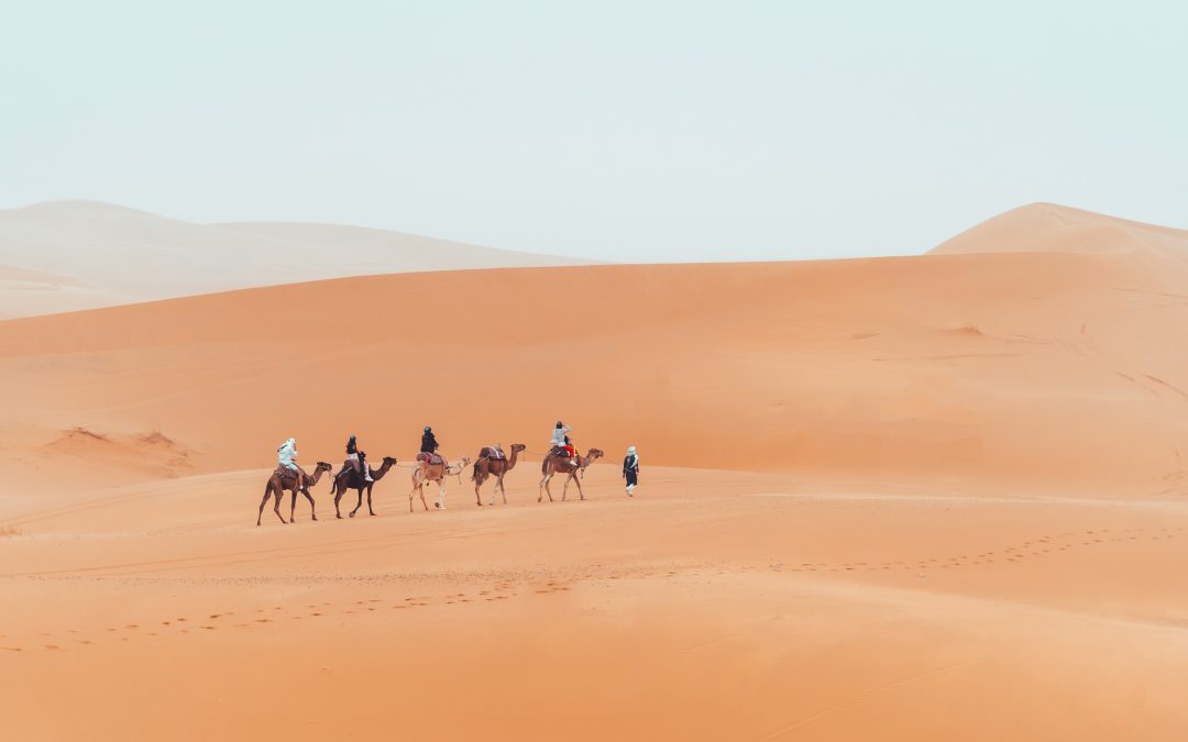 Revel in the Mystical Allure and Unforgettable Experiences Curated by a Marrakech Tour Company