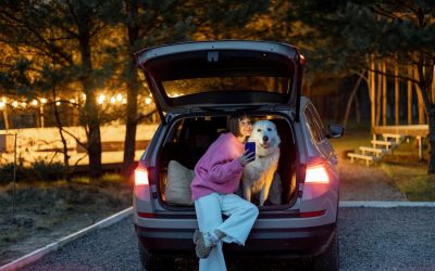 The Secret to a Pawsome Pet Vacation: What Every Pet Owner Should Know Before Traveling to Branson, MO